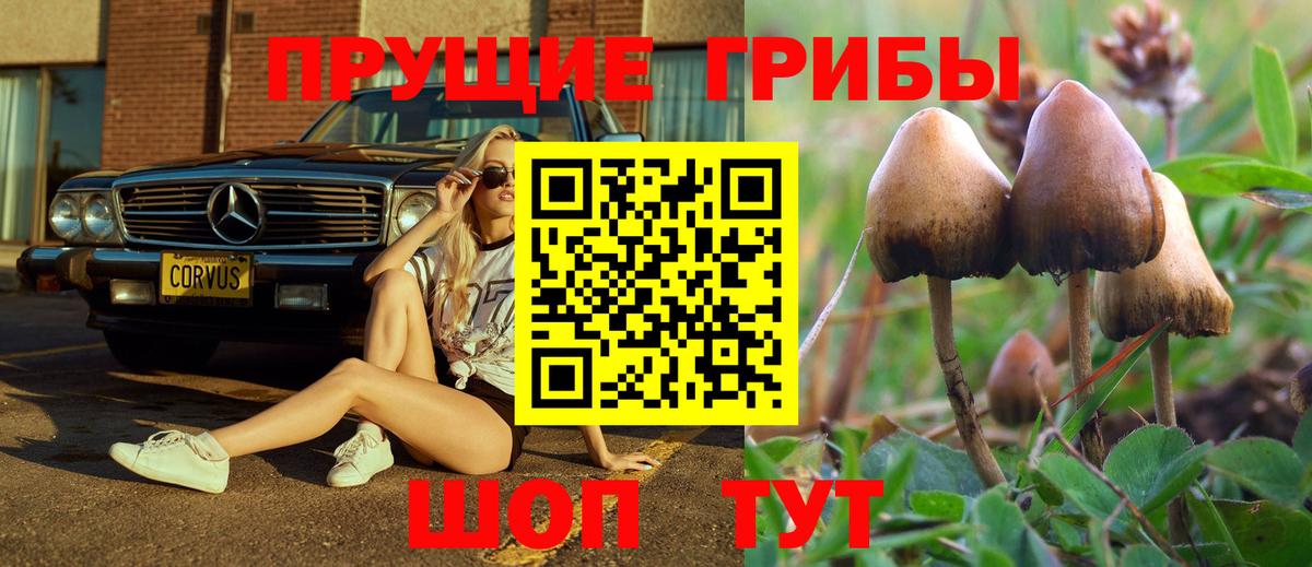 Галлюциногенные грибы прущие грибы  Вход с VPN  Белгород 